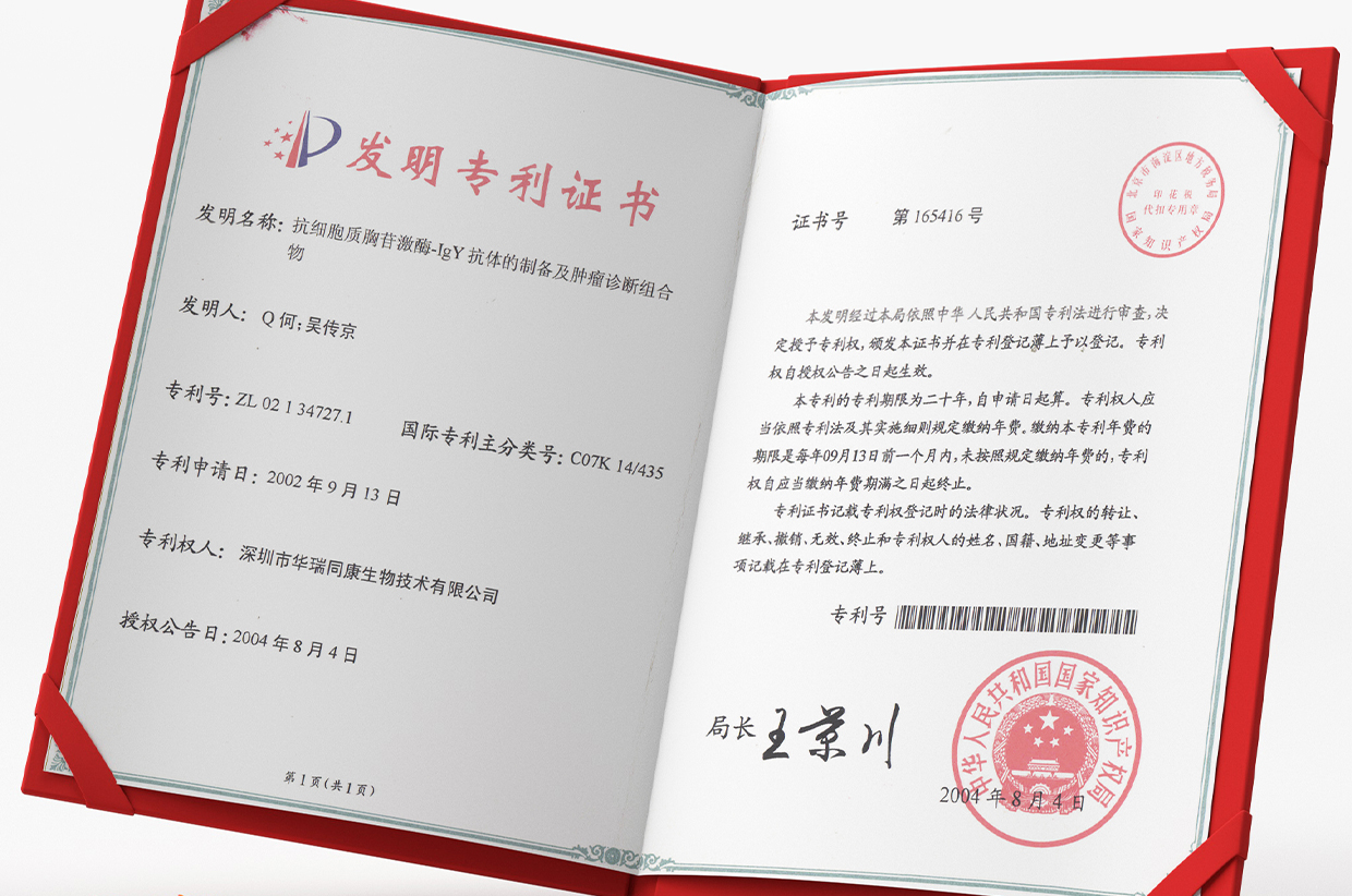 2004年
